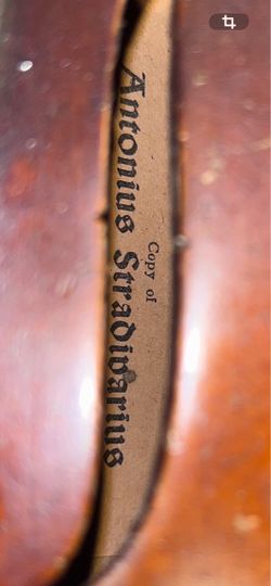 Violin vintage