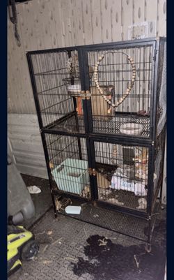 bird cage