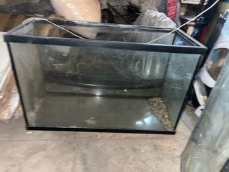 Fish tank