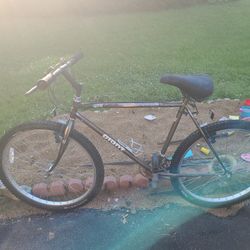 Giant 26 Inch Need Working 