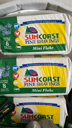 Pine shavings