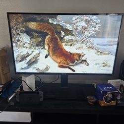 44 Inch Hisense Roku Smart TV