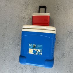 Igloo Cooler