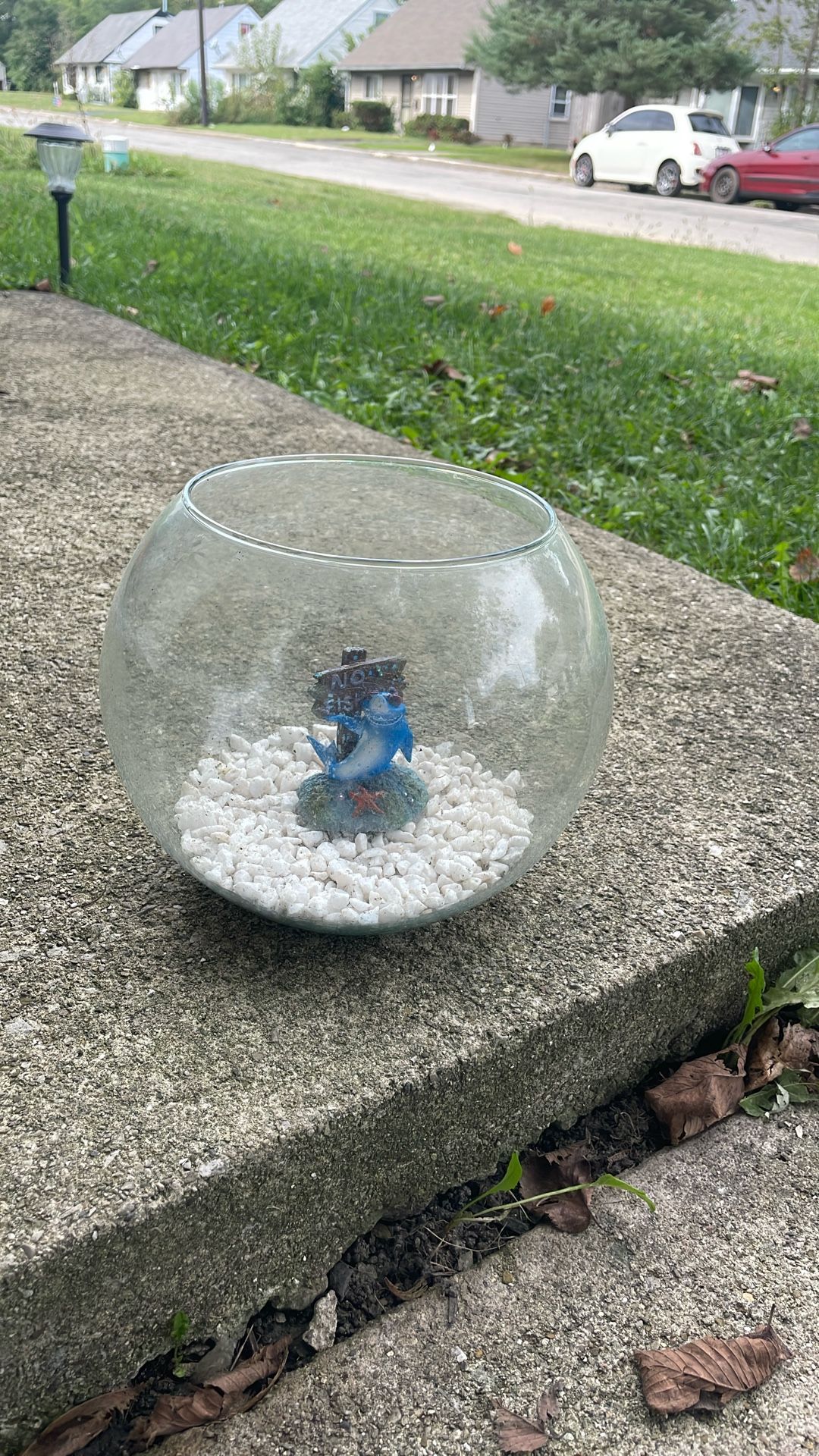 Fish Tank Bolw