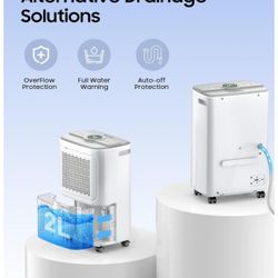 Blauwhal 31-Pint Dehumidifier A16