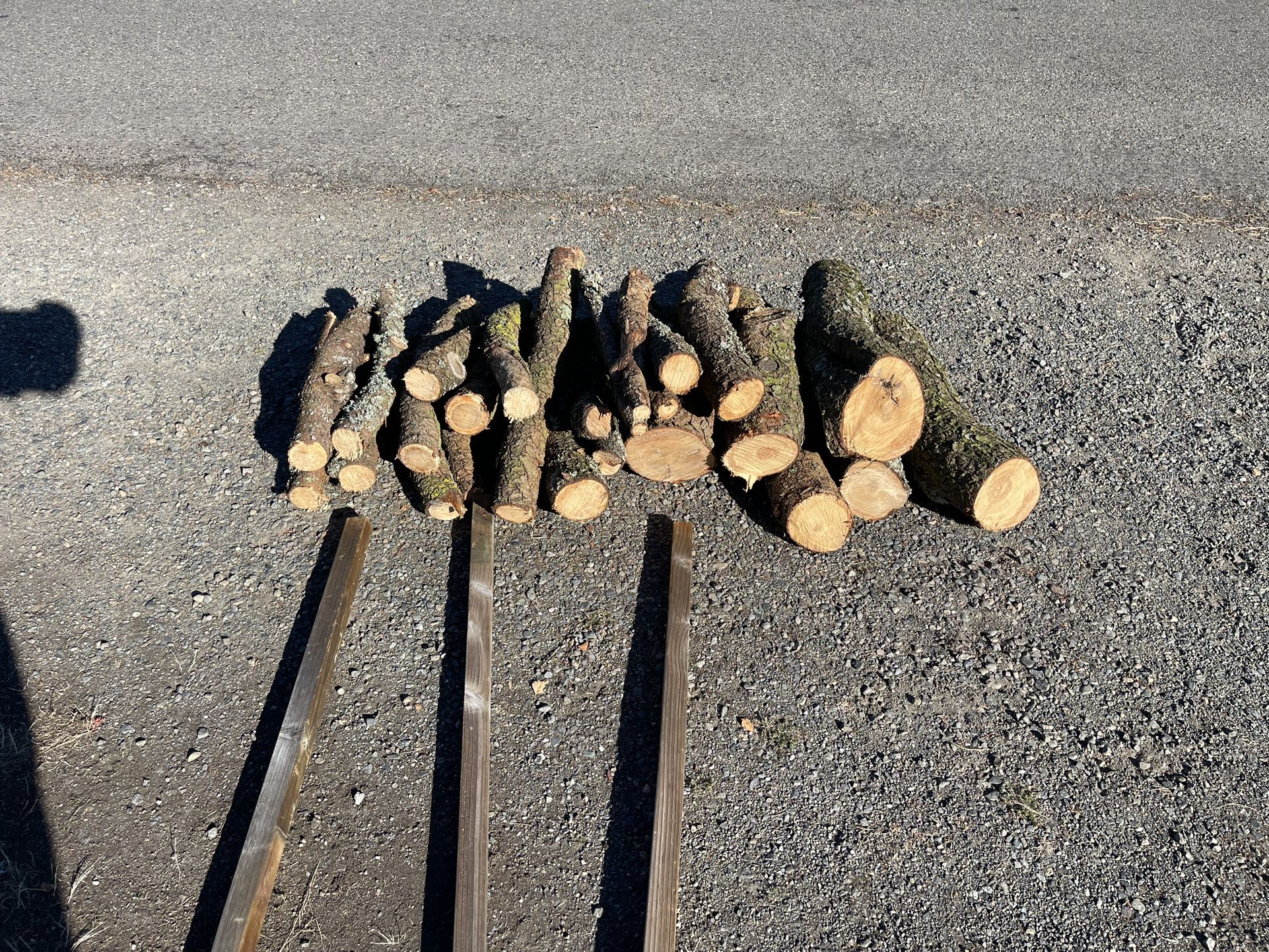 Firewood, Small Bundle At The Street