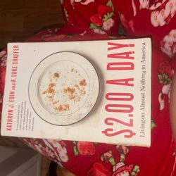 2.00$ A Day , Living On Almost Nothing In America 