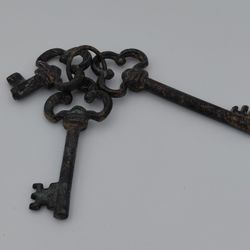 Decorative Vintage Iron Skeleton Keys 