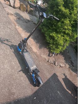 Maxfun Electric Scooter 10 pro