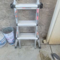 Little  Giant  Leader 