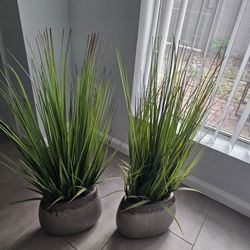 Faux Plants Set + one small plant for FREE