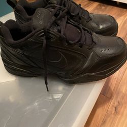 Mens Size 12 Nike Shoes