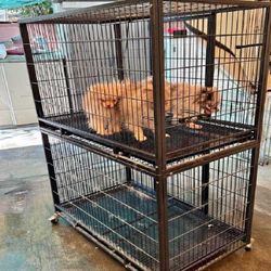 woman still Pet Cages in Different Options to Fit Every Pet Size
