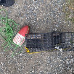 Crab pot