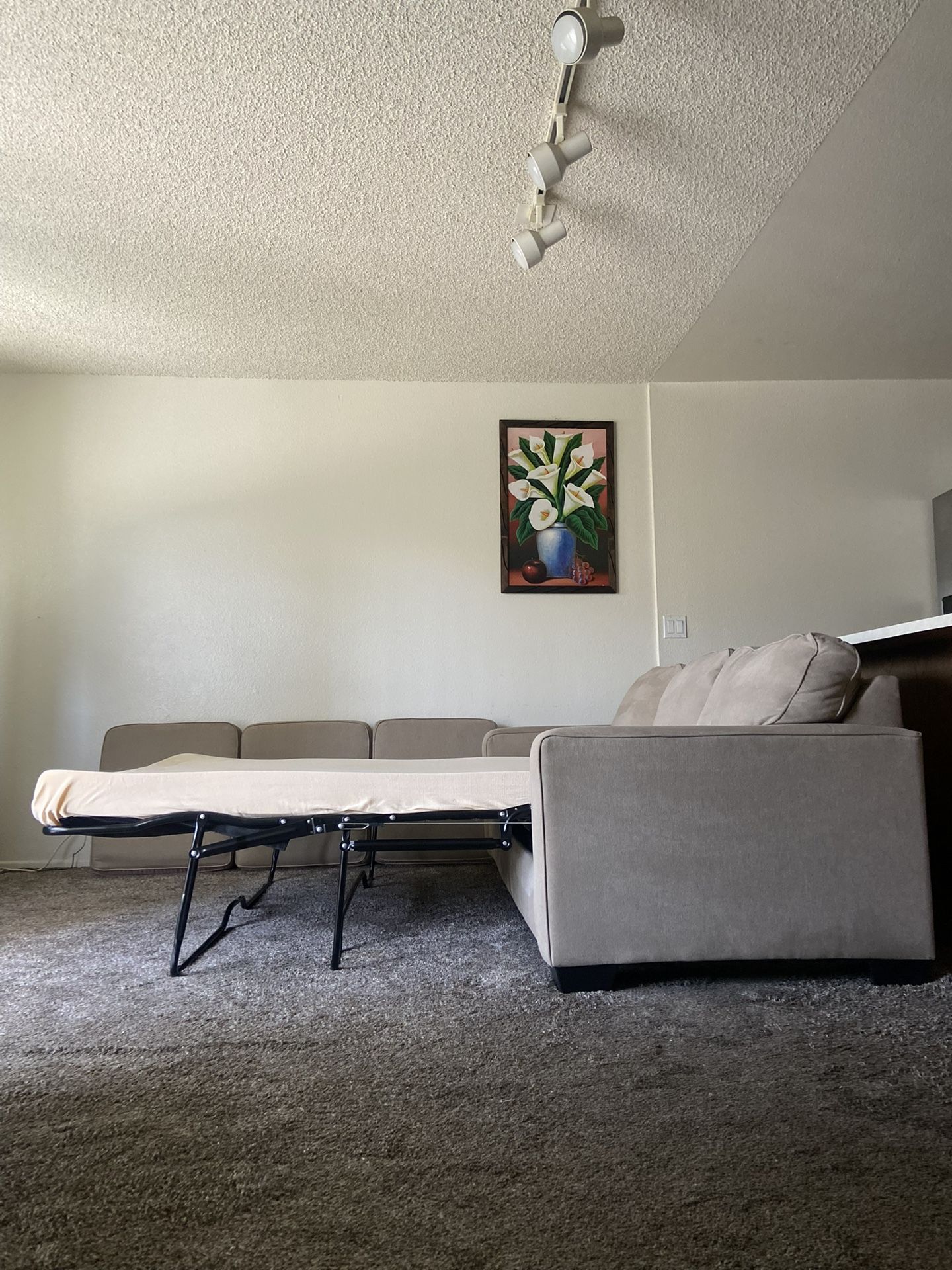 Queen Size Sofa Sleeper