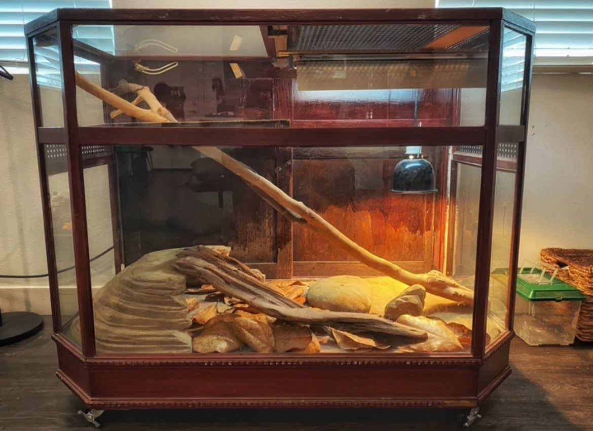 Reptile Enclosure Terrarium