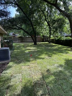 Sod And Stepping Stones 