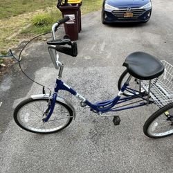 Adult Tricycle