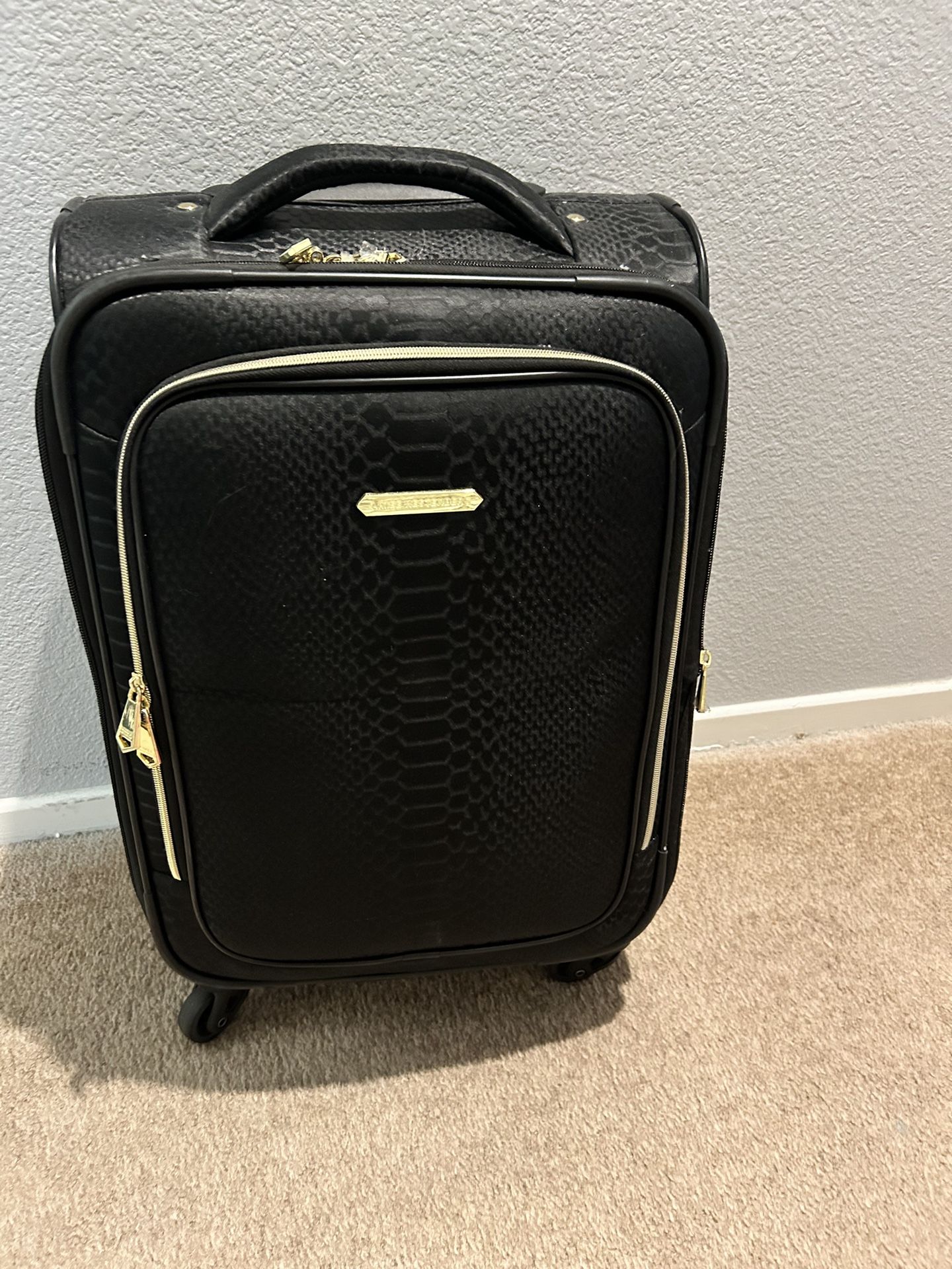 Aimee Kensternberg Carry On Luggage