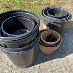FREE Planter Pots!