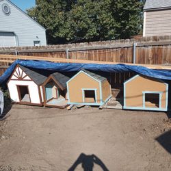 All Sizes  Dog Houses 
