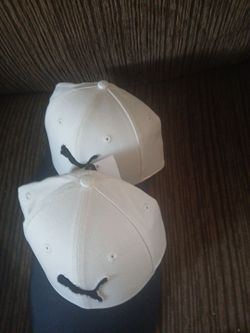Puma hat