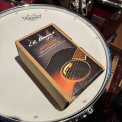 LR Baggs ANTHEM Tru Mic Acoustic Microphone / Pickup System