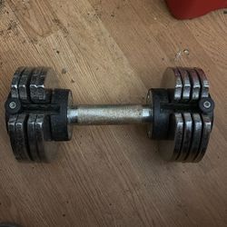 10-45 Lb Adjustable Dumbed 