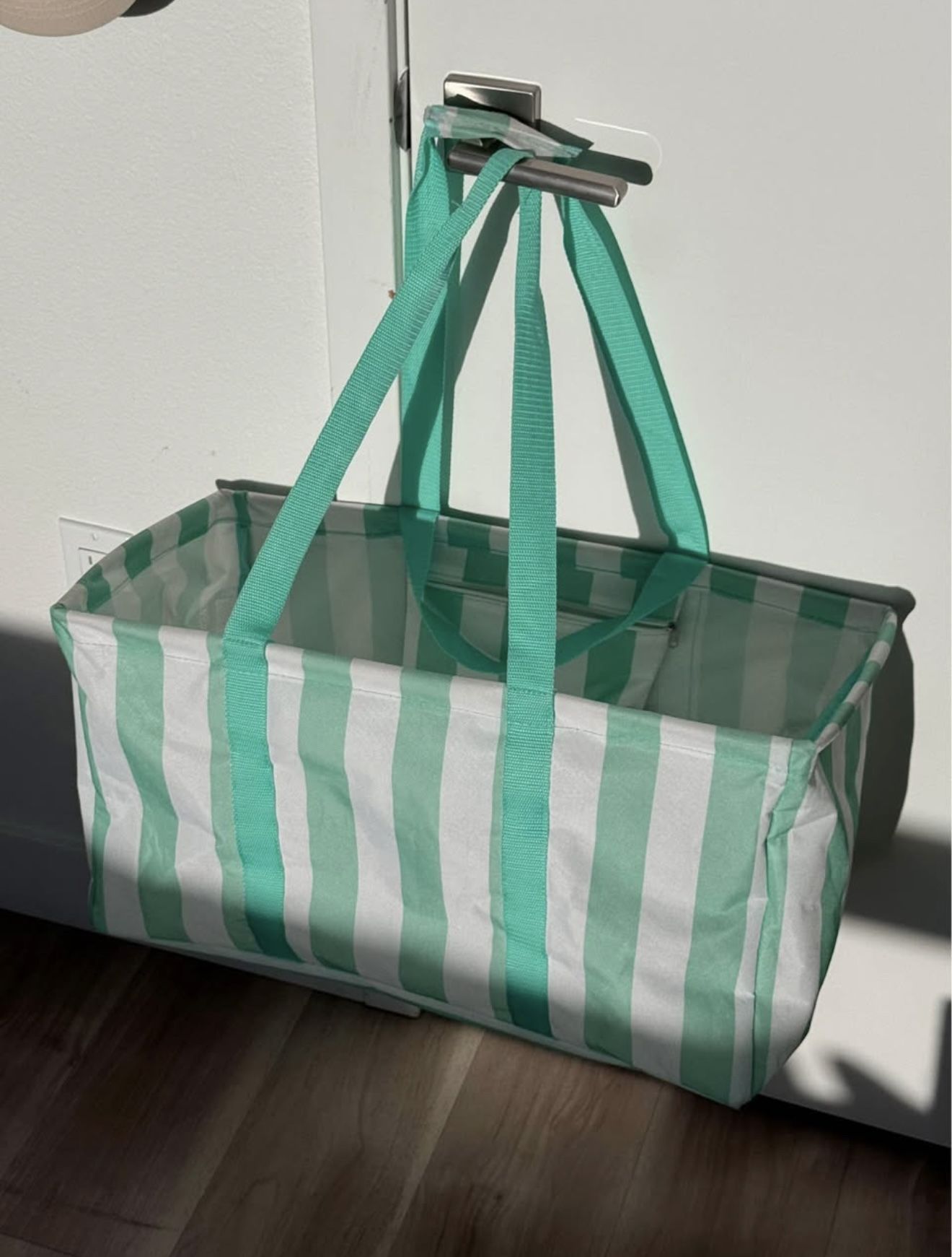 Beach/park Bag