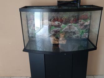 Fish aquarium 36/1/4