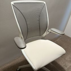 Humanscale Diffrient World Office Chair New