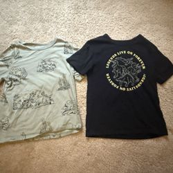 Dinosaur Shirts