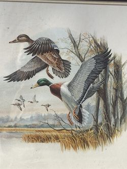 vintage art print ducks Don Balke limited print 