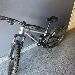 Mountain bike