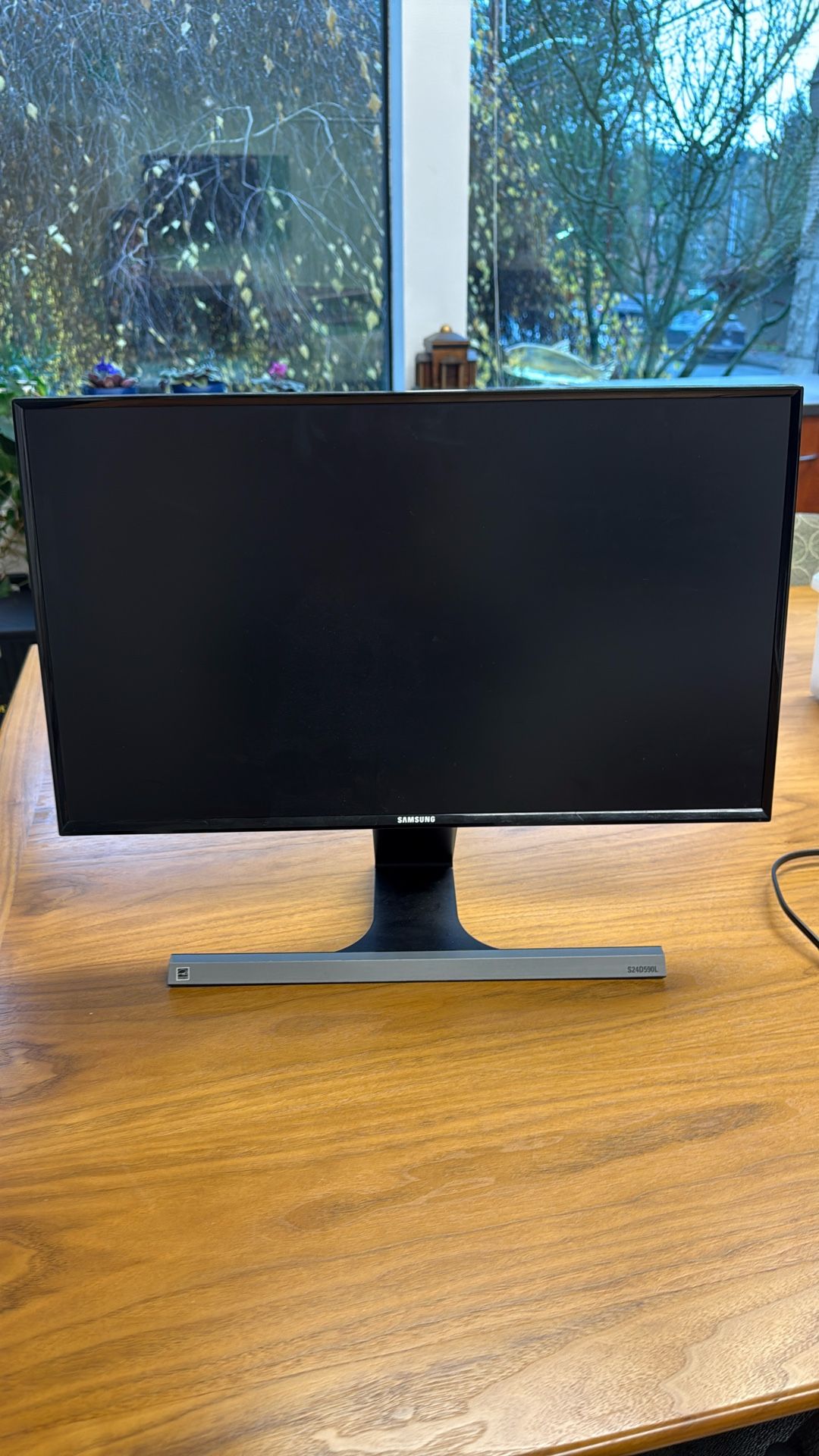 Samsung 24 Inch Monitor