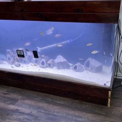 🌟$500/obo TankOnly🌟SeaClear System II 100-Gallon Saltwater/Freshwater Acrylic Aquarium Wet/Dry Filtration (60"L x 18"W x 20"H)🌟Pickup/CashOnly🌟