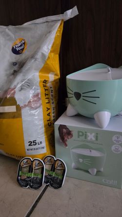 Cat stuff