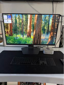 LG Desktop Monitor