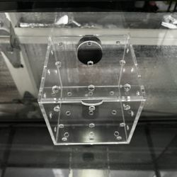 Acrylic  Nem And Shroom Box