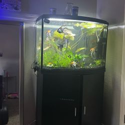 Fish Tank And Stand