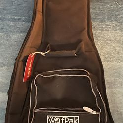 Guitar bag/case 