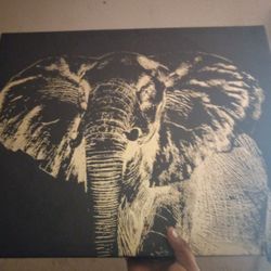 Elephant Paint 😃😃😃😃