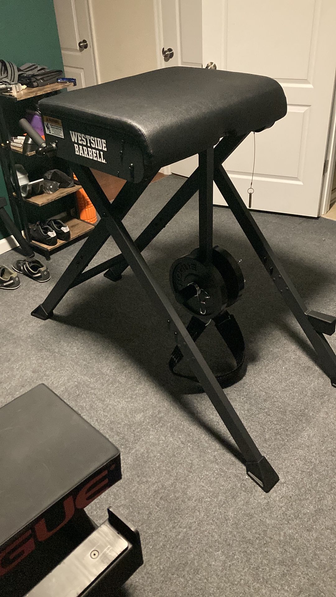 Westside Scout Hyper (Rogue)