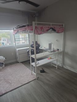 Brand new bunk 1 week old