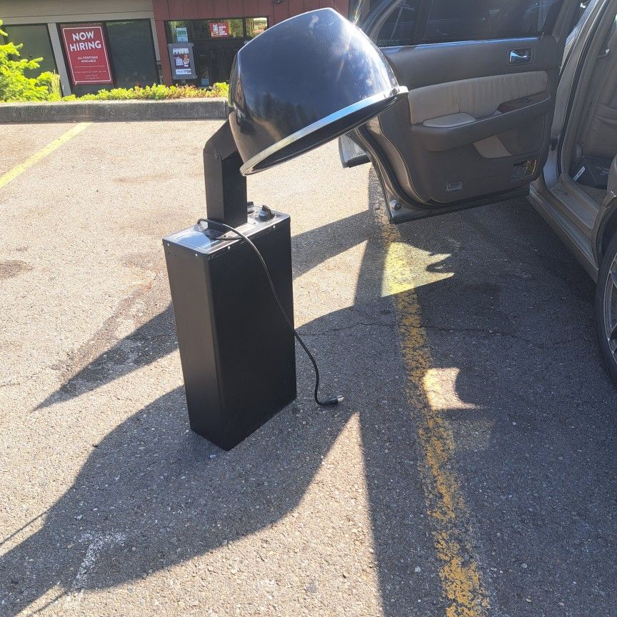 Professional Hair Dryer
