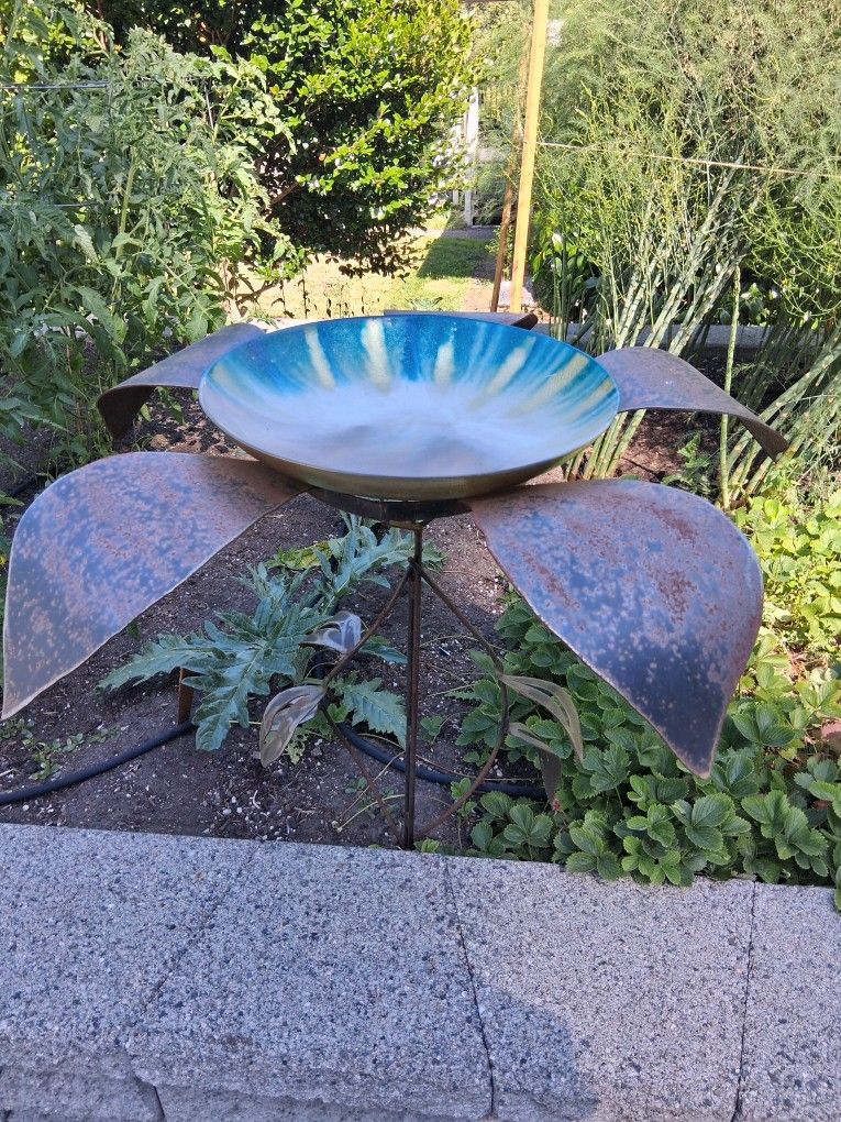 Bird Bath