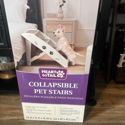 Pet Stairs 