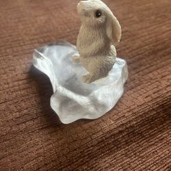 Cute Bunny 🐰 On Glass Platform 