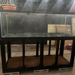 180 G Tank With Sump And Stand
