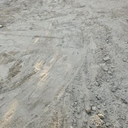 Free Dirt